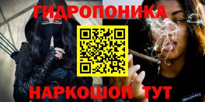 a pvp Пушкино